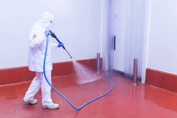 Professional  Pressure Washing Services in Carlisle, OH